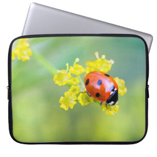 Protection Pour Ordinateur Portable femme au sommet
