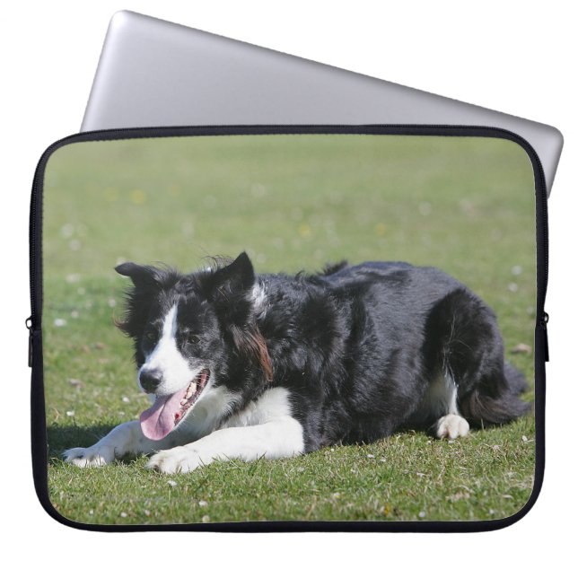 Protection Pour Ordinateur Portable Fixation de border collie (Devant)