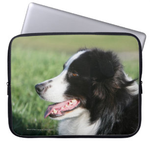 Protection Pour Ordinateur Portable Fixation de chiot de border collie