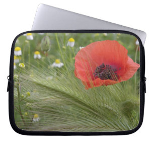 Protection Pour Ordinateur Portable Fleur de pavot rouge, Toscane, Italie