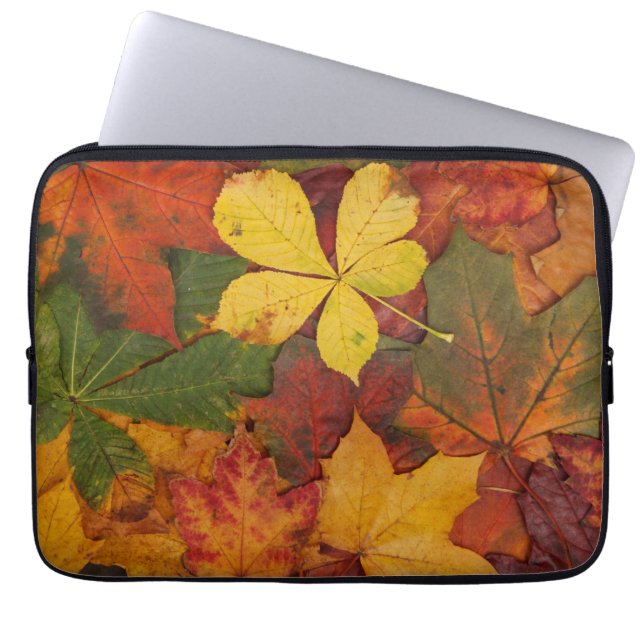 Protection Pour Ordinateur Portable Folithe d'automne (Devant)
