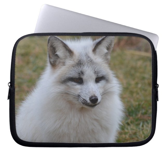 Protection Pour Ordinateur Portable Fox blanc adorable (Devant)