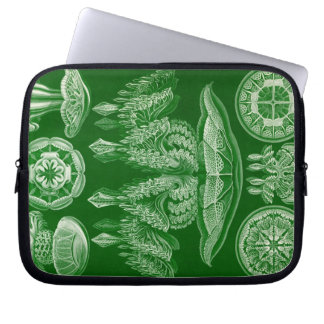Protection Pour Ordinateur Portable Haeckel vintage