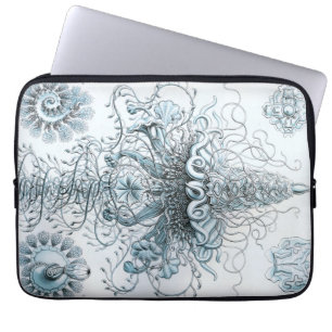 Protection Pour Ordinateur Portable Haeckel Vintage