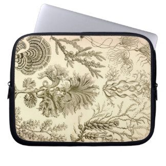 Protection Pour Ordinateur Portable Haeckel vintage