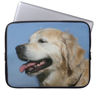 Protection Pour Ordinateur Portable Headshot 4 de golden retriever
