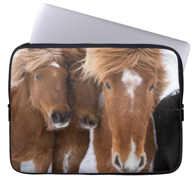 Protection Pour Ordinateur Portable Icelandic Horses nuzzle (Devant)