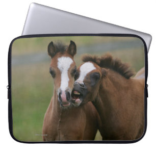 Protection Pour Ordinateur Portable Jeu de poulains