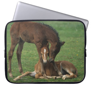 Protection Pour Ordinateur Portable Jeu de poulains de Morgan