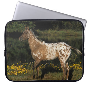 Protection Pour Ordinateur Portable Lac se tenant prêt horse d'Appaloosa