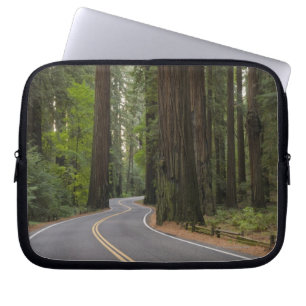Protection Pour Ordinateur Portable Les Etats-Unis, la Californie, route par la forêt