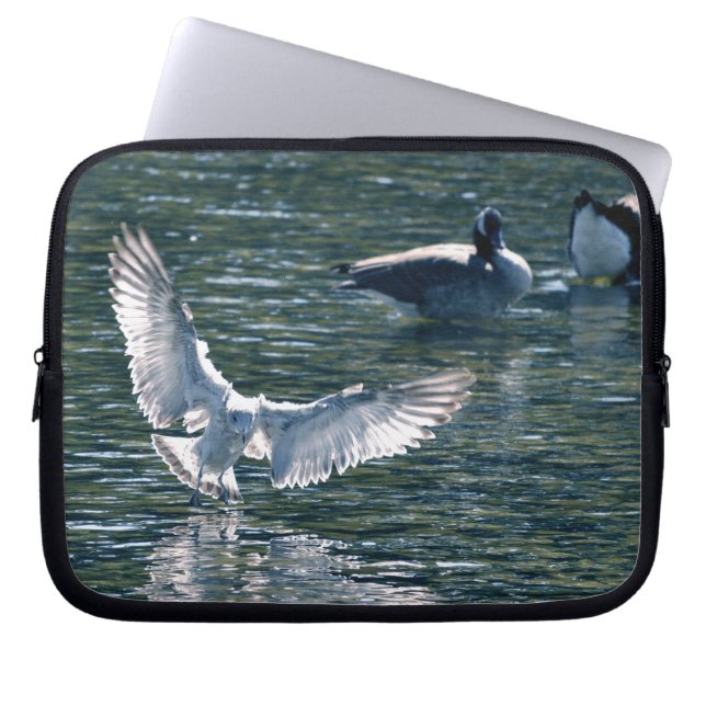 Protection Pour Ordinateur Portable Les oiseaux de la collection mondiale de la faune (Devant)
