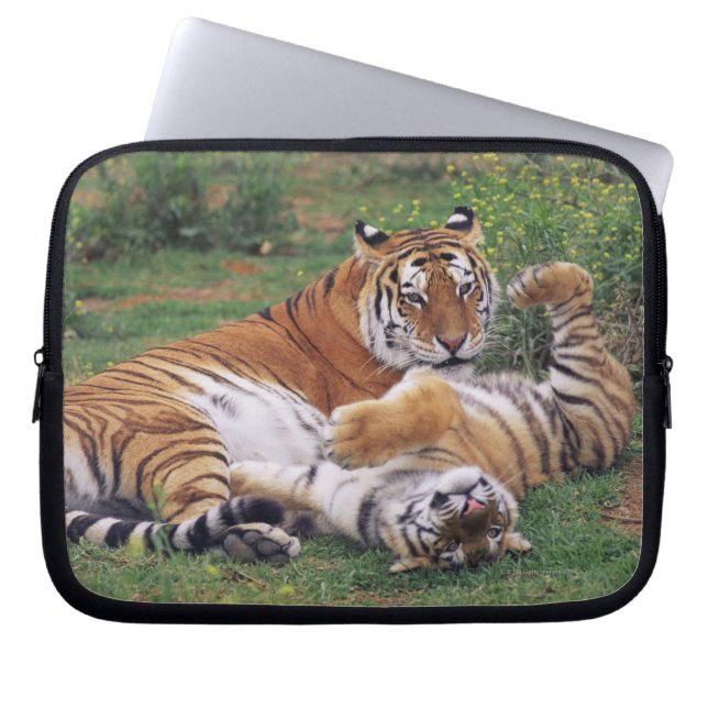 Protection Pour Ordinateur Portable Les tigres du Bengale (Devant)