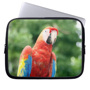 Protection Pour Ordinateur Portable macaw