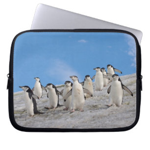 Protection Pour Ordinateur Portable Manchots à Collier Pygoscelis Antarctica