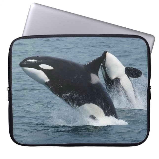 Protection Pour Ordinateur Portable Orca Whales Breaching (Devant)