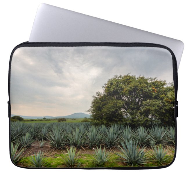 Protection Pour Ordinateur Portable Paysage avec l'agave bleu (Devant)