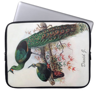 Protection Pour Ordinateur Portable Peacock, vert pavo paon muticus 1872 ...