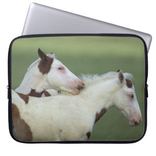 Protection Pour Ordinateur Portable Peignez le jeu de poulains