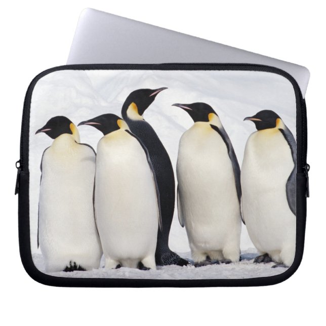 Protection Pour Ordinateur Portable Penguins empereurs (Devant)
