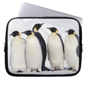 Protection Pour Ordinateur Portable Pingouins d'empereur