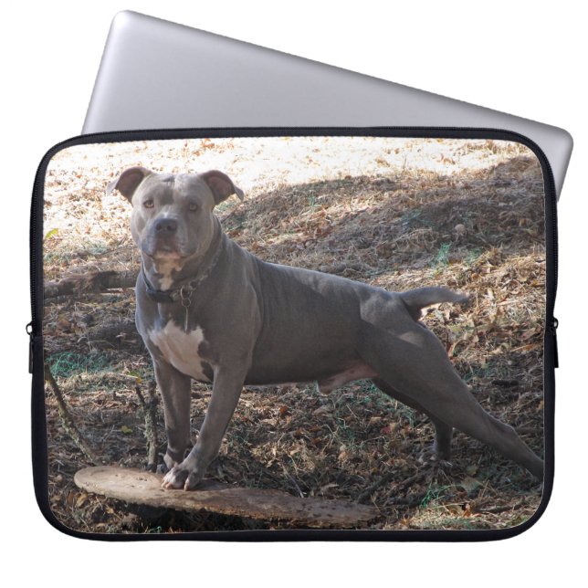 Protection Pour Ordinateur Portable Pitbull avec manche pour ordinateur portable Skate (Devant)