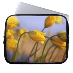 Protection Pour Ordinateur Portable Plan rapproché des jonquilles