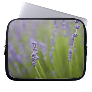 Protection Pour Ordinateur Portable Plantes de lavande 2