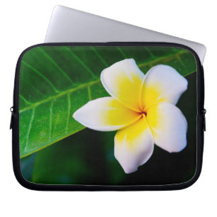 Protection Pour Ordinateur Portable Plumeria