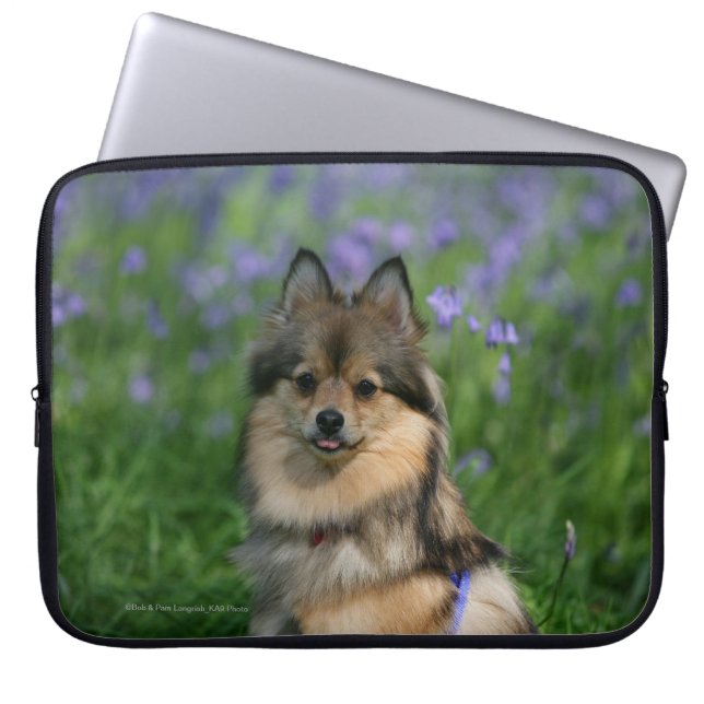 Protection Pour Ordinateur Portable Pomeranian dans l'herbe (Devant)