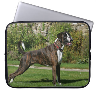 Protection Pour Ordinateur Portable Position Brindle d'exposition canine de boxeur