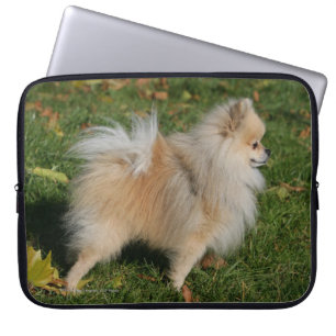 Protection Pour Ordinateur Portable Position de Pomeranian