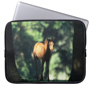 Protection Pour Ordinateur Portable Poulain arabe dans les arbres