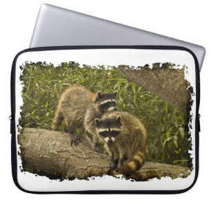 Protection Pour Ordinateur Portable Raccoons Bord blanc