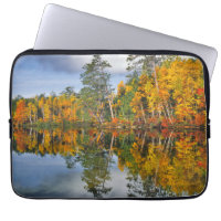 Reflets d'étang en automne, Maine