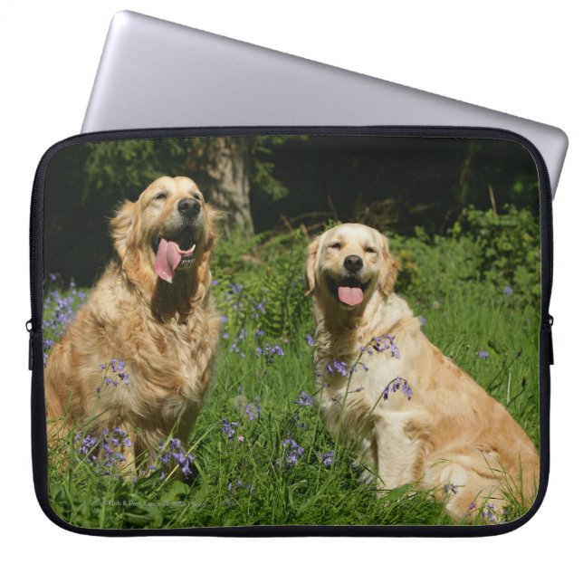 Protection Pour Ordinateur Portable Retreivers d'or dans l'herbe (Devant)