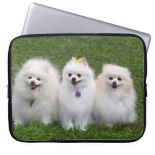 Protection Pour Ordinateur Portable Séance de 3 Pomeranians