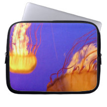 SORTIE D'ORDINATEUR PORTABLE JELLYFISH