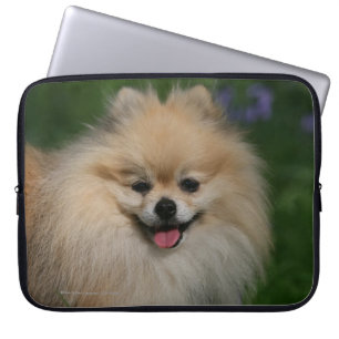 Protection Pour Ordinateur Portable Sourire de Pomeranian