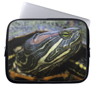 Protection Pour Ordinateur Portable Tortue à oreilles rouges, Trachemys scripta elegan