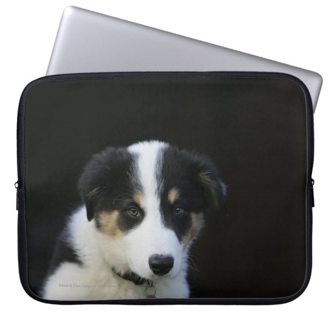 Protection Pour Ordinateur Portable Vieux chiot de border collie de 12 semaines (Devant)