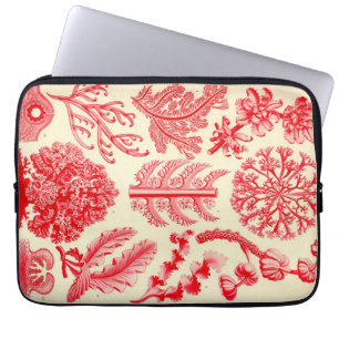 Protection Pour Ordinateur Portable Vintage Haeckel