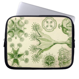 Protection Pour Ordinateur Portable Vintage Haeckel
