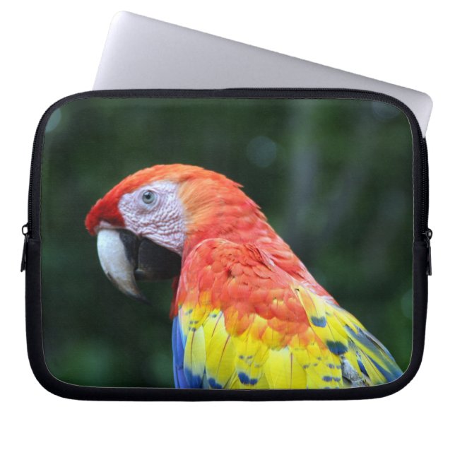 Protection Pour Ordinateur Portable visage de scarlet macaw (Devant)