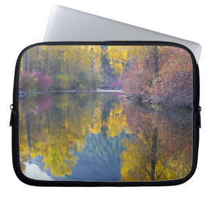 Protection Pour Ordinateur Portable WA, forêt nationale de Wenatchee, ruisseau Whitepi