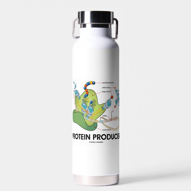 Protein Producer mRNA tRNA Protein Synthese Trinkflasche (Vorne)