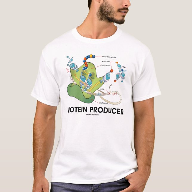 Protein-Produzent (Protein-Synthese) T-Shirt (Vorderseite)