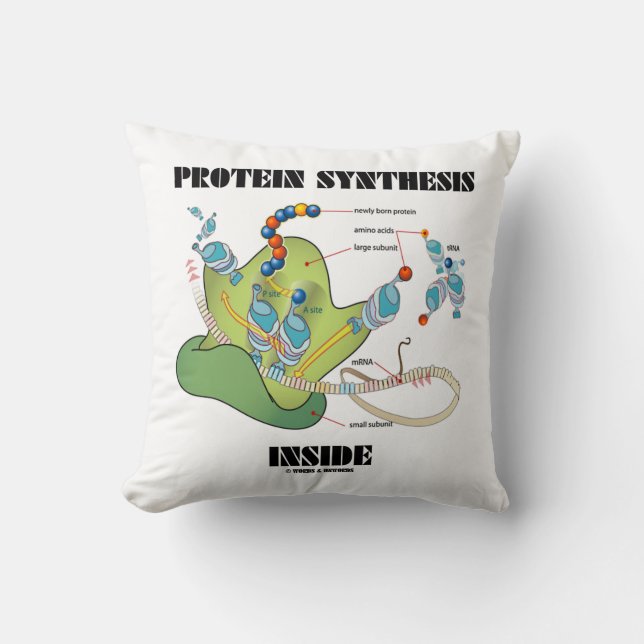 Protein-Synthese-Innere (mRNA tRNA) Kissen (Vorderseite)