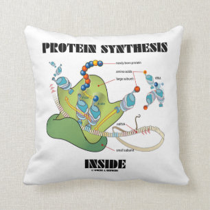 Protein-Synthese-Innere (mRNA tRNA) Kissen