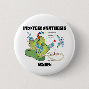 Protein-Synthese-Innere (Zellbiologie) Button